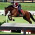 US Pony Club Championships East